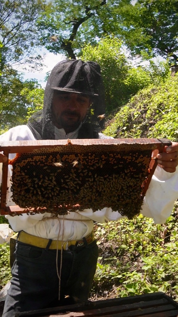 Local Honduran Beekeeper in La Virtud